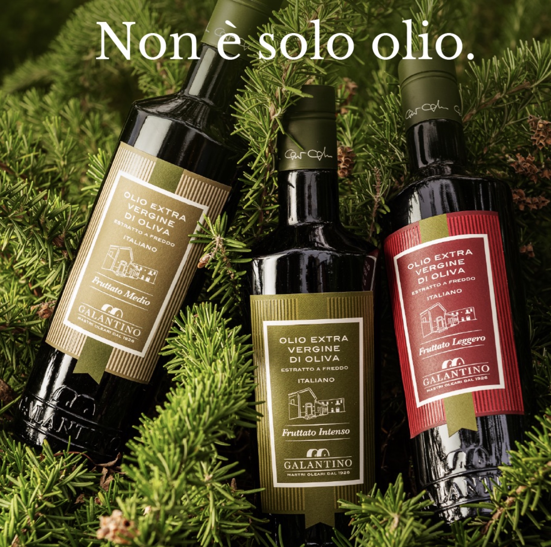 Galantino-evoo line